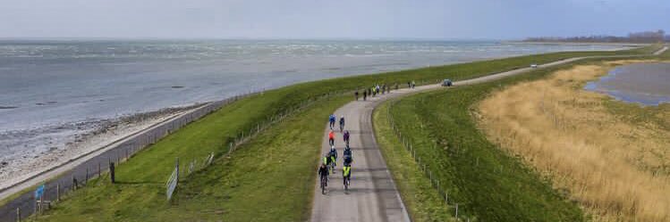 In Memoriam Joop van der Laan banner
