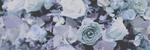 VAPOREONITE's profile banner image