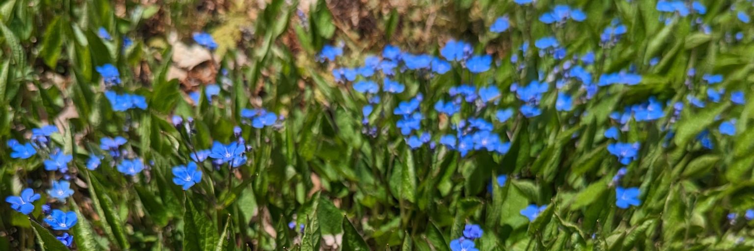 itsmebuttons's profile banner image