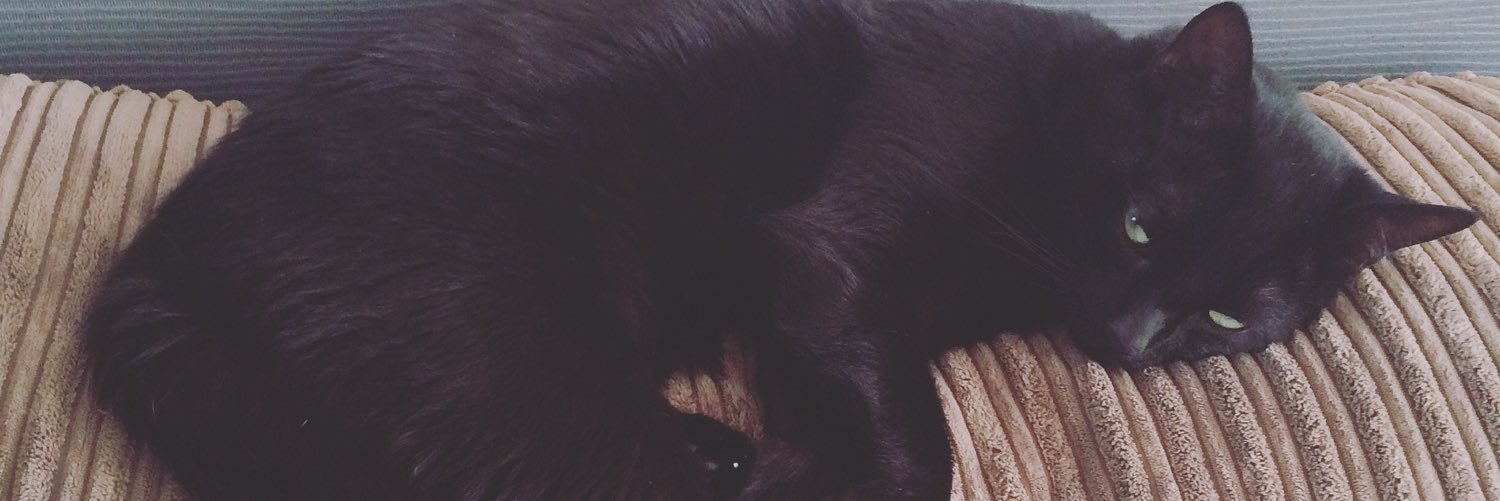 SarahAnthony1's profile banner image