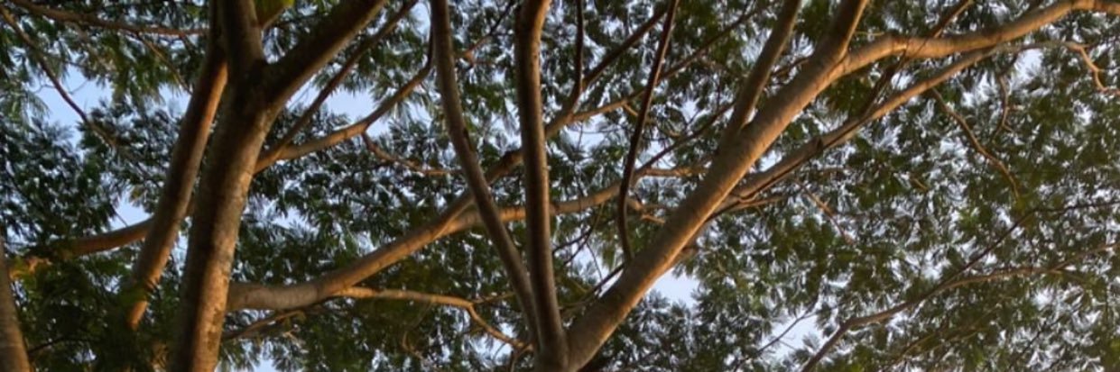 angelagerda's profile banner image