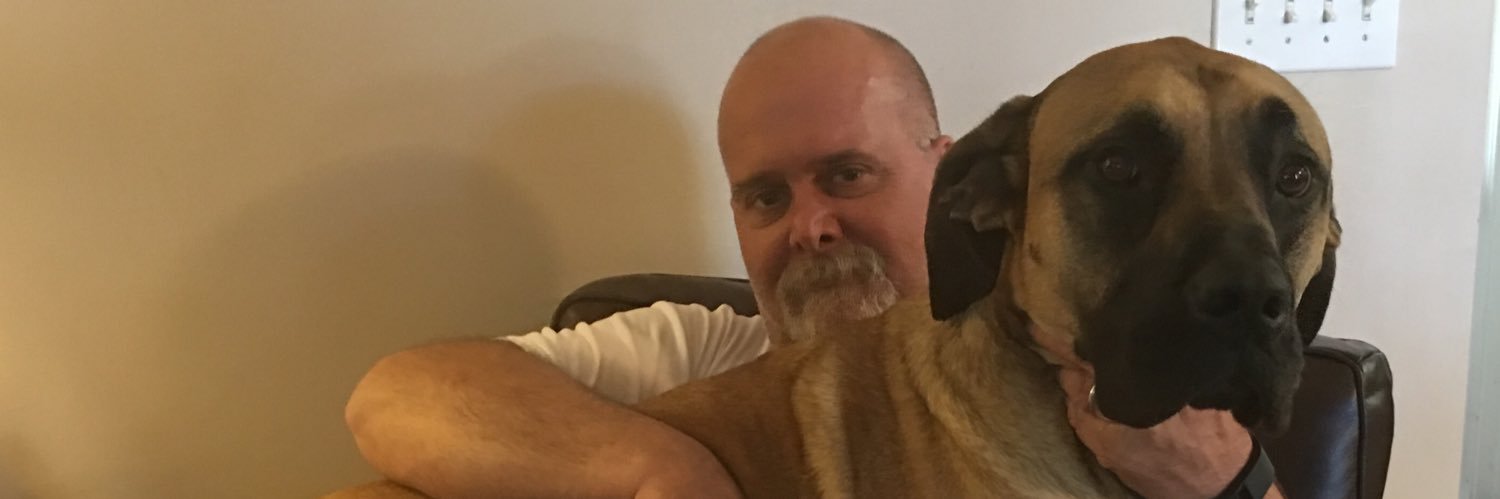 fraufriedhoff's profile banner image
