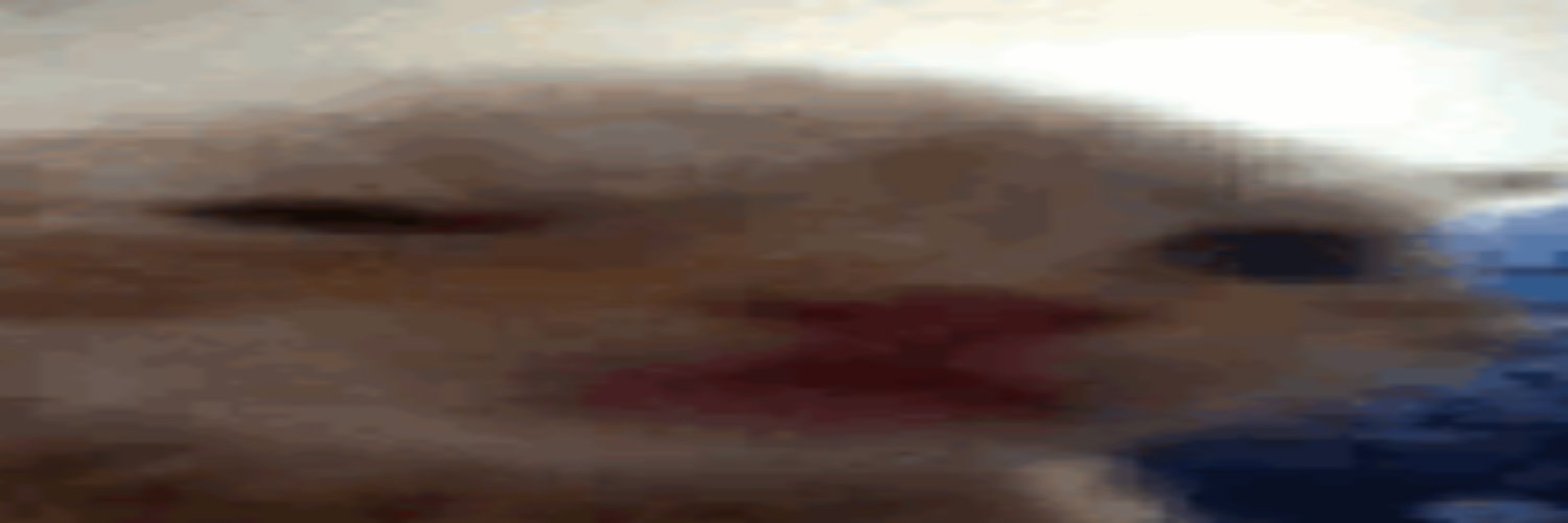 Meolo banner