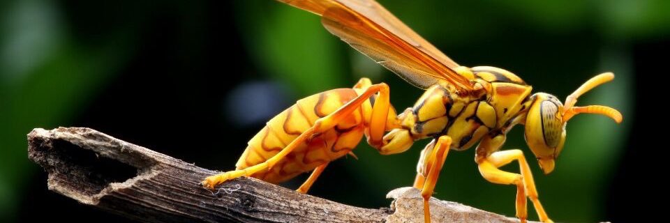 sqluhao's profile banner image