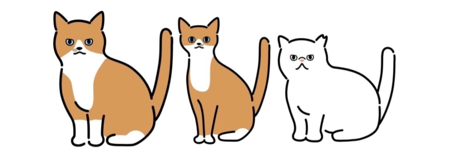 border_neko's profile banner image
