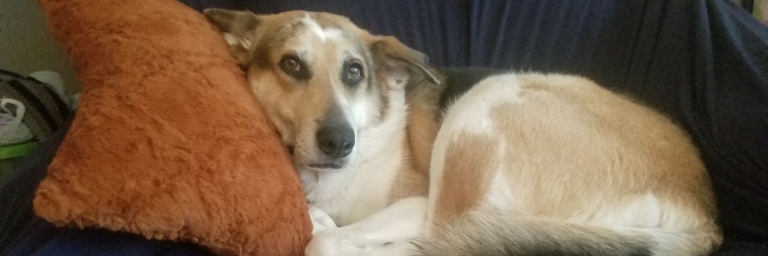 thekayekidd's profile banner image