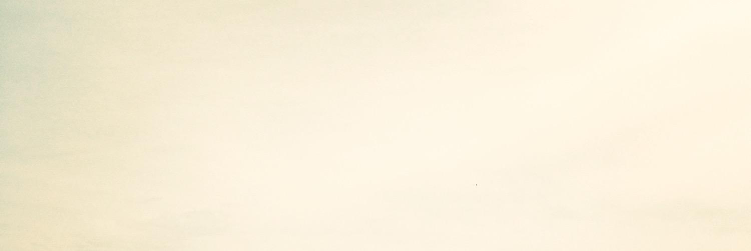 goodbonesnc's profile banner image