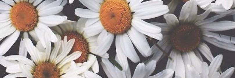aisdanielle's profile banner image