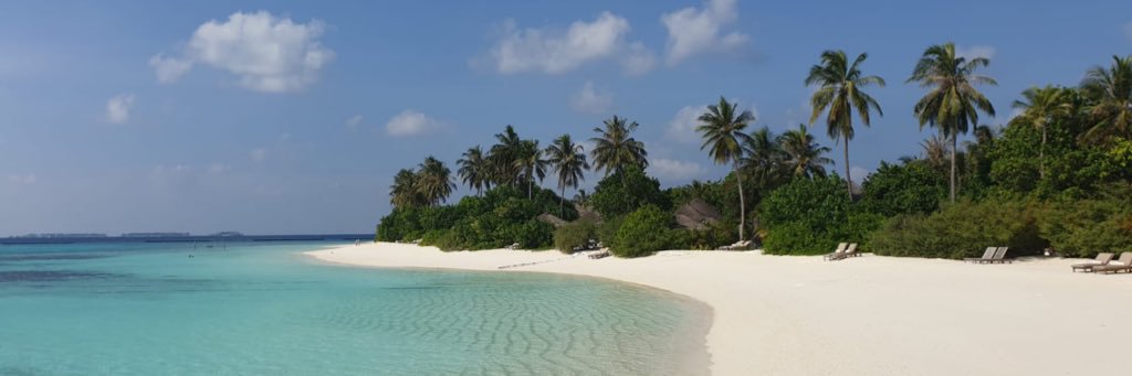 SalinderLS's profile banner image
