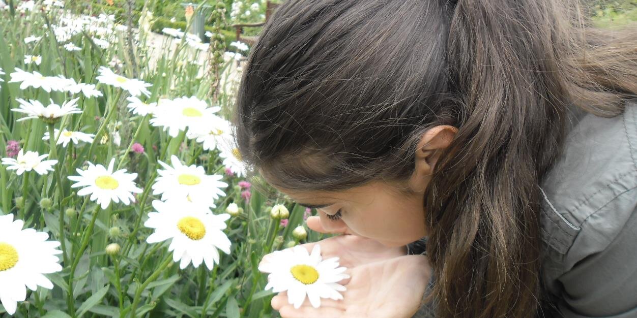 AlbaFrancisco's profile banner image