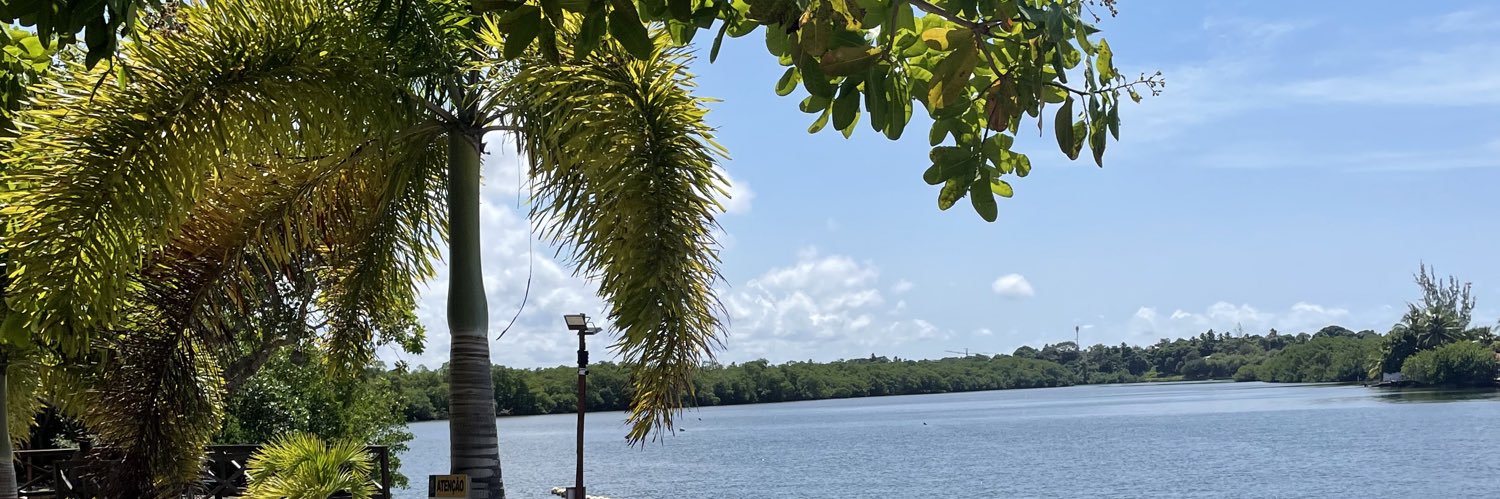 Tamiresdj's profile banner image