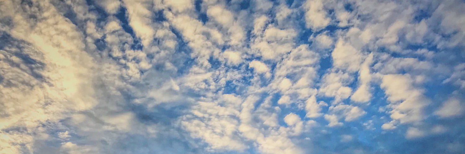 _kesusu's profile banner image
