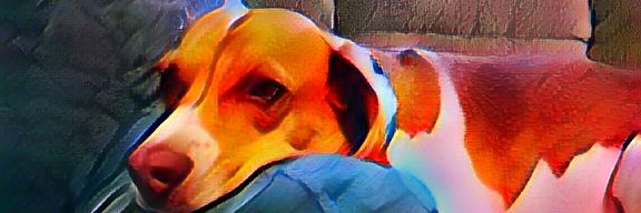 wilshan80's profile banner image