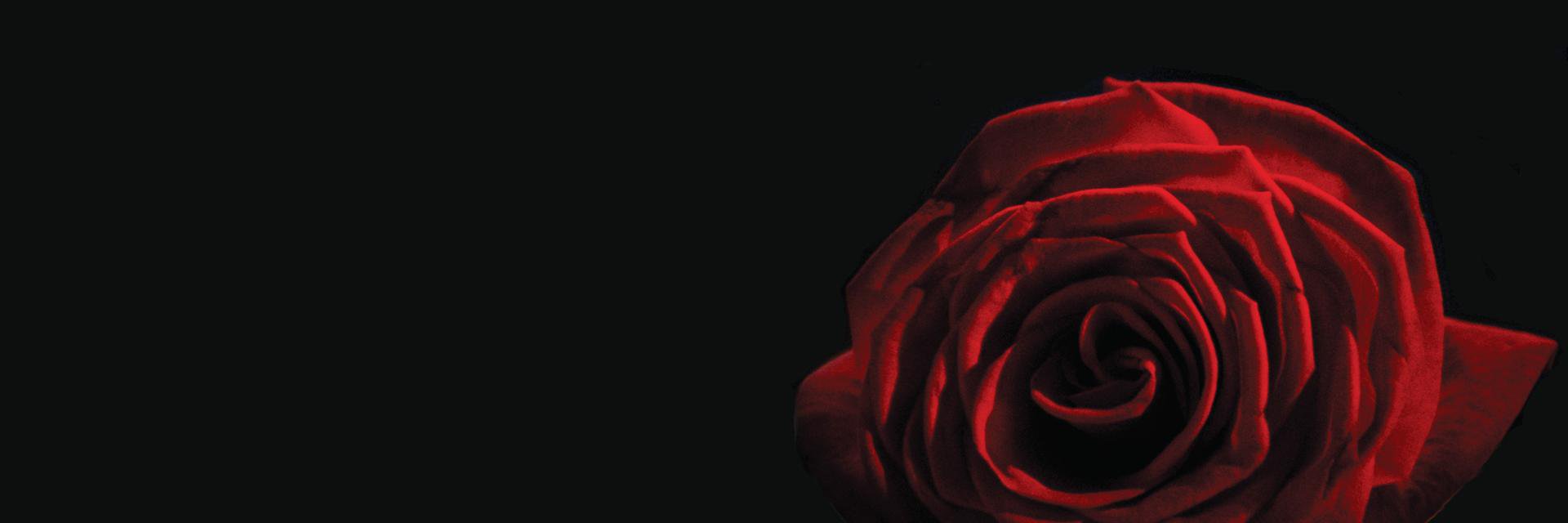 Morbidlysick's profile banner image
