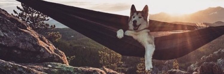 tinch19's profile banner image