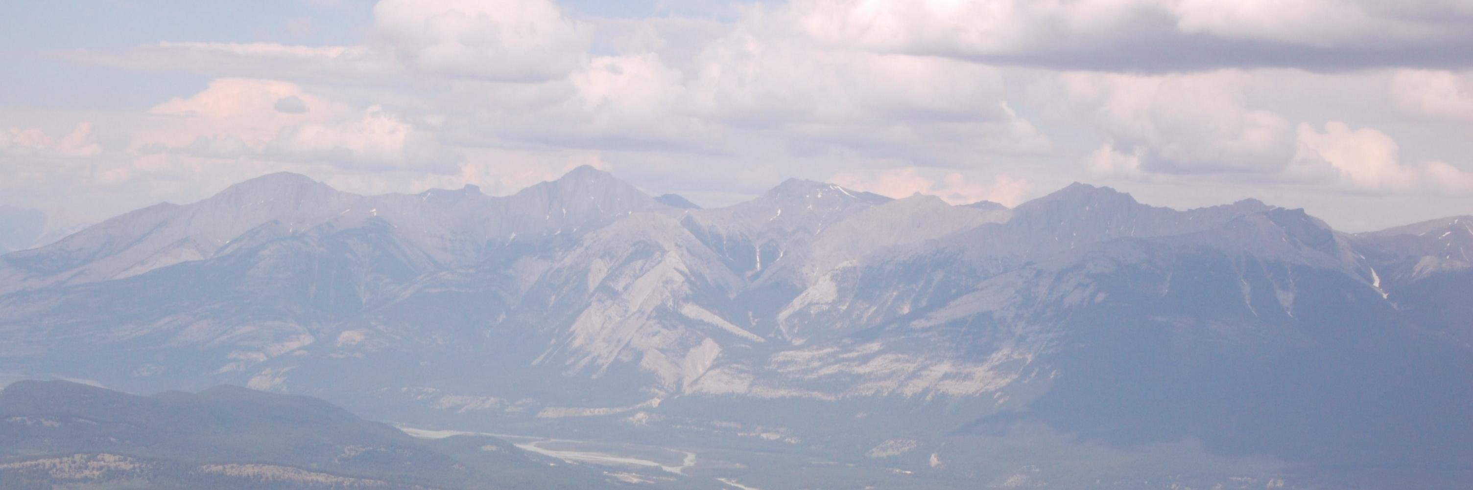 Alley Stennett banner