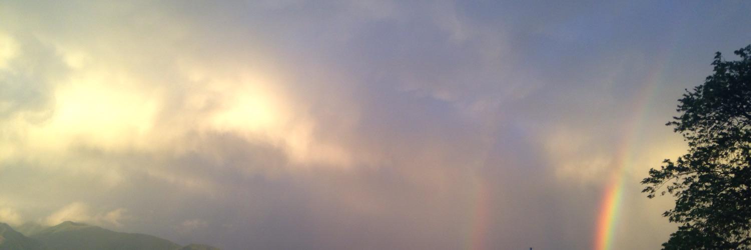 aahhoollee's profile banner image