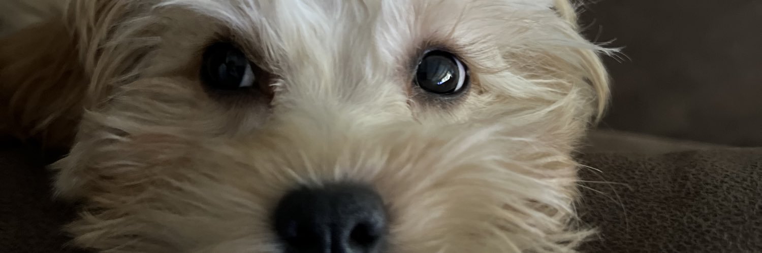 mallory_walter's profile banner image