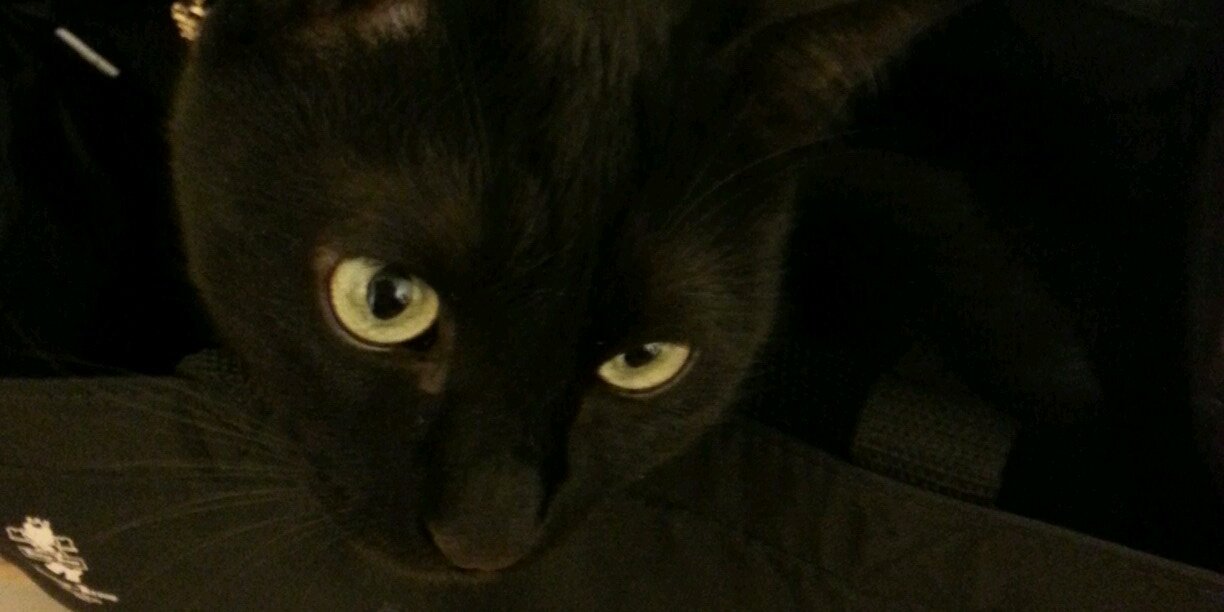 choco_at1012's profile banner image