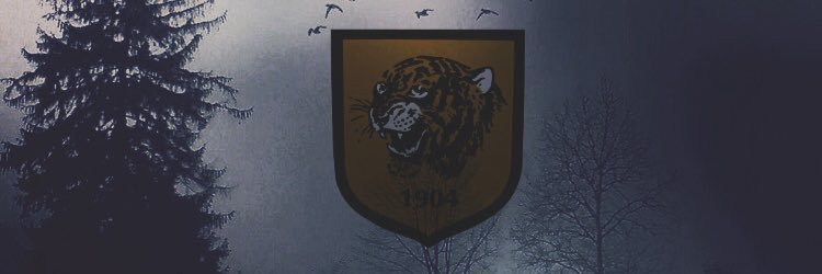 tim_akrill's profile banner image