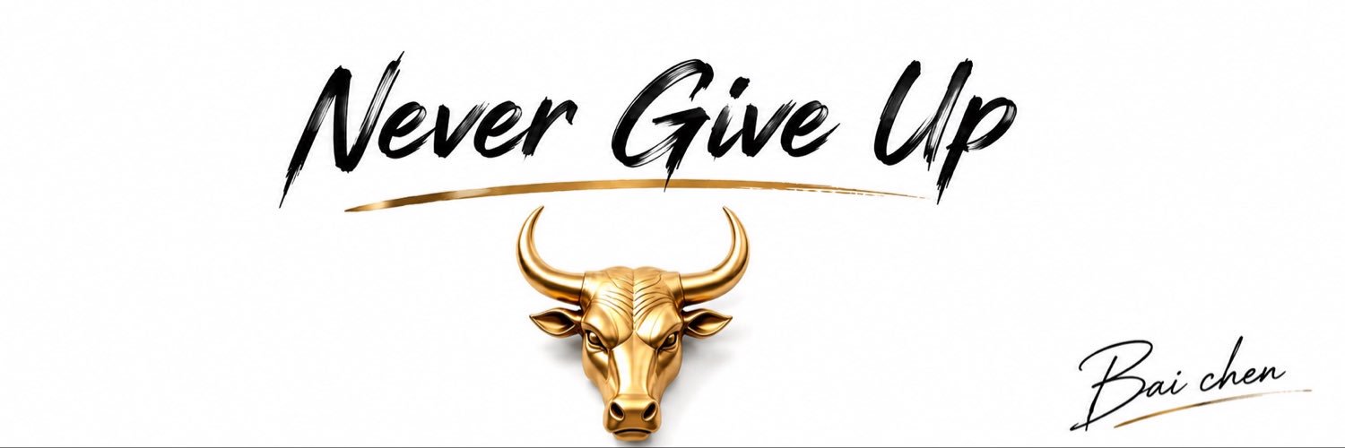 baichenbtc's profile banner image