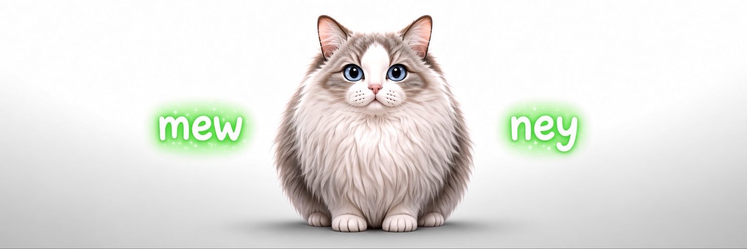 MewneyRH's profile banner image