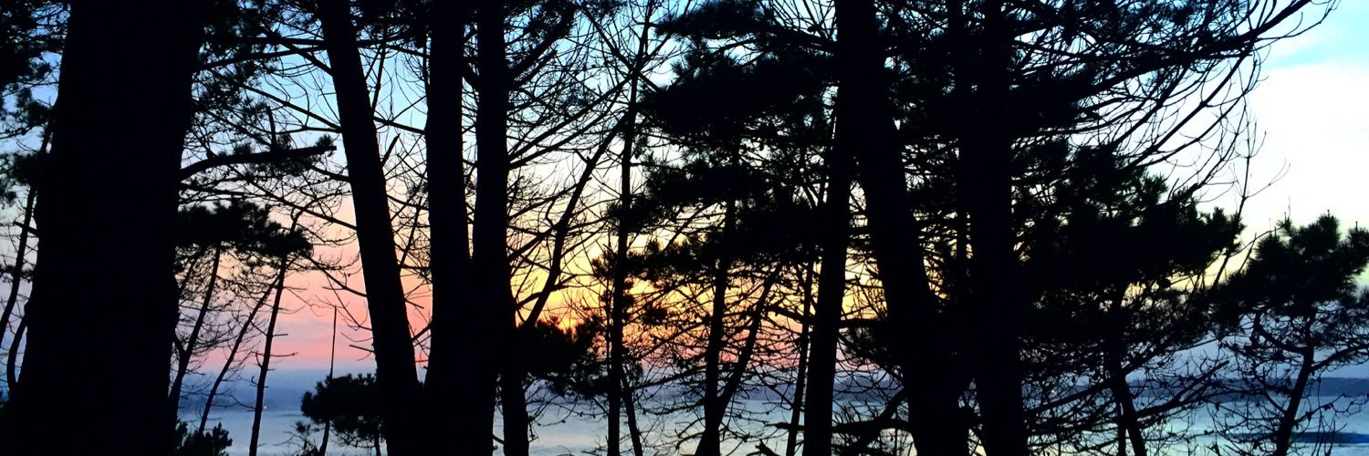 martamensi's profile banner image