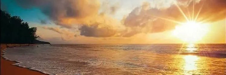 Shaima__Saeed's profile banner image