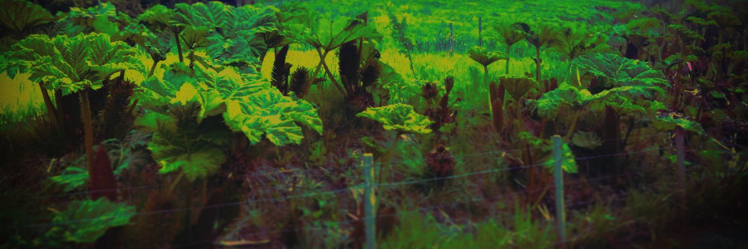 psychoactiveyou's profile banner image