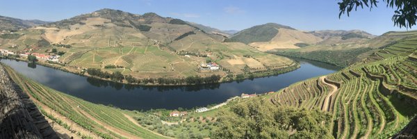 Kikirags Profile Banner