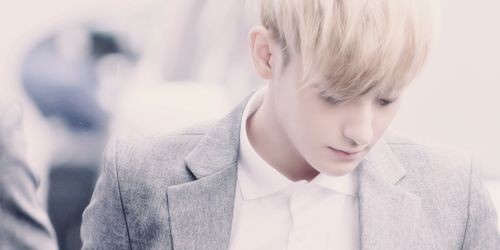 Tao_distance's profile banner image