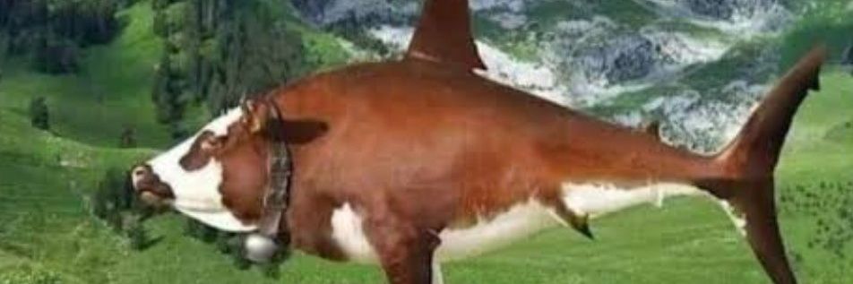 BloodyTheMeme's profile banner image