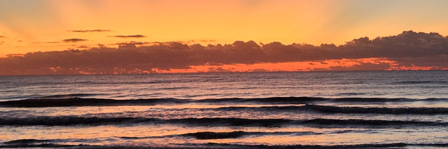 AwokenPhoenix_'s profile banner image
