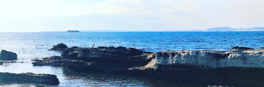 Ninja_Swampcat's profile banner image