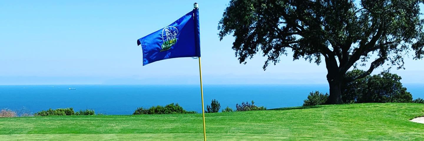 Timothy Finch banner