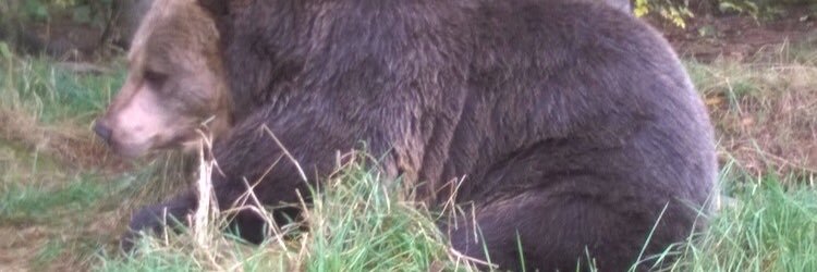 DrRobAtkinson's profile banner image