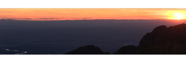 ampconcerts Profile Banner