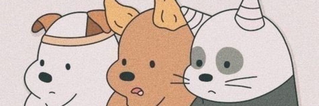 suleozaydin's profile banner image
