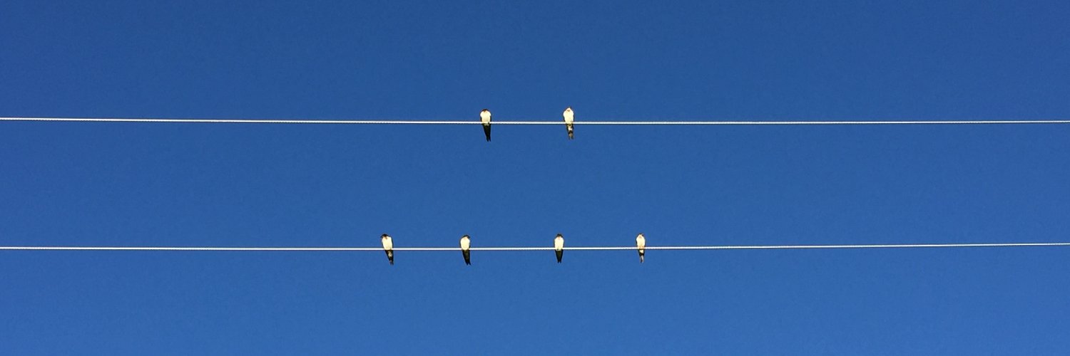 Larissa Sayuri M. Sugai banner