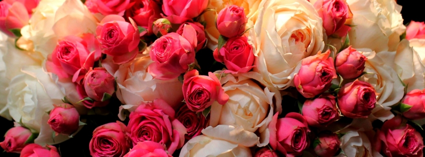 ALMANAR911's profile banner image