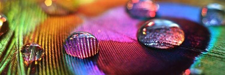 KatiLC's profile banner image