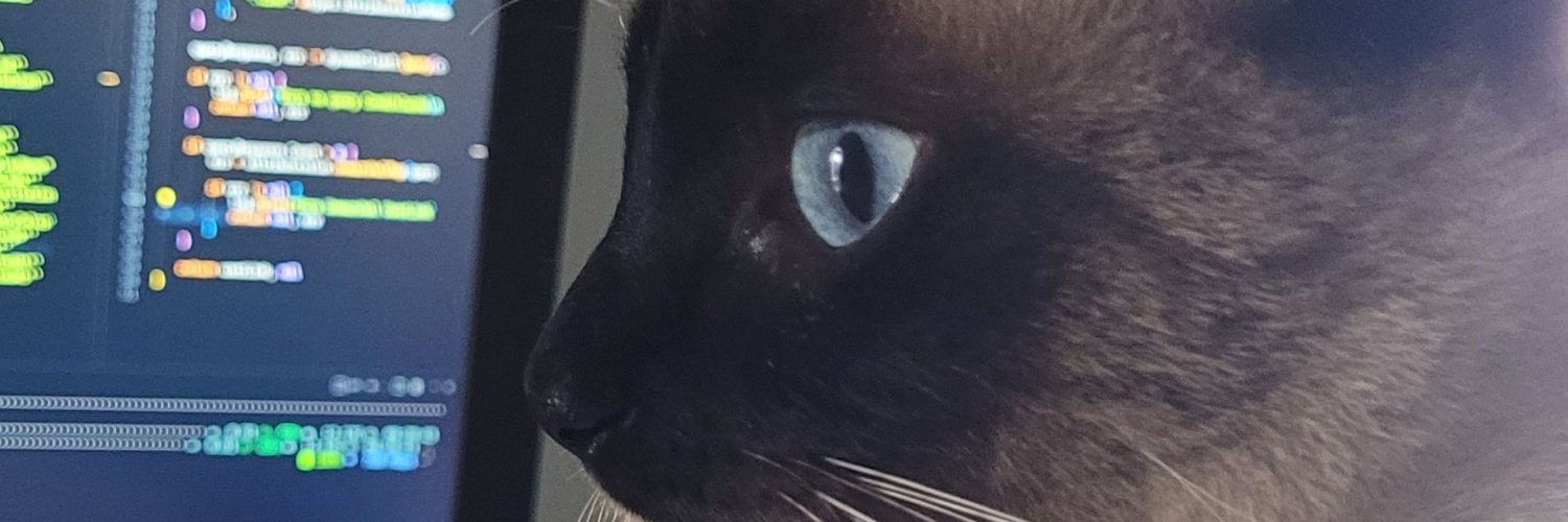 v_venes's profile banner image