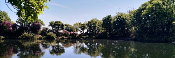 MeganHalford Profile Banner