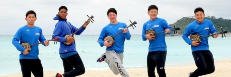 shimesss's profile banner image