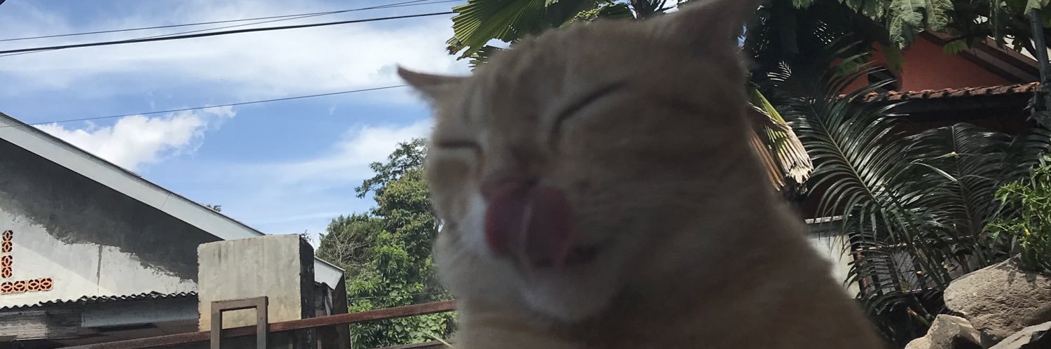 annisaafjm's profile banner image