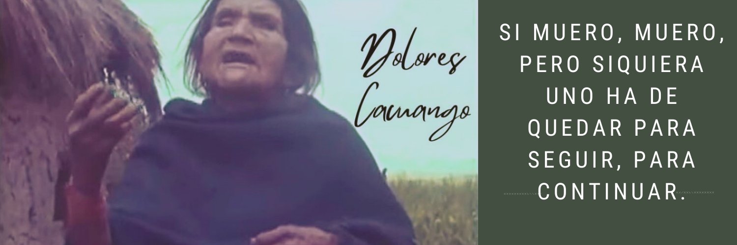 CangoPedro's profile banner image