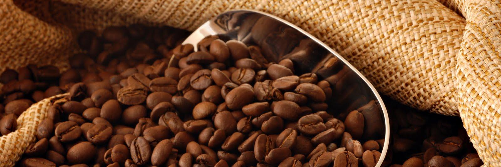 Cafehosteleria's profile banner image