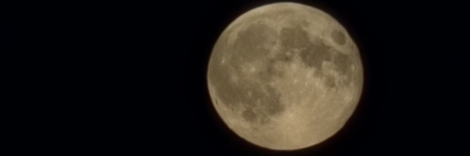 GayMinorityVariant banner