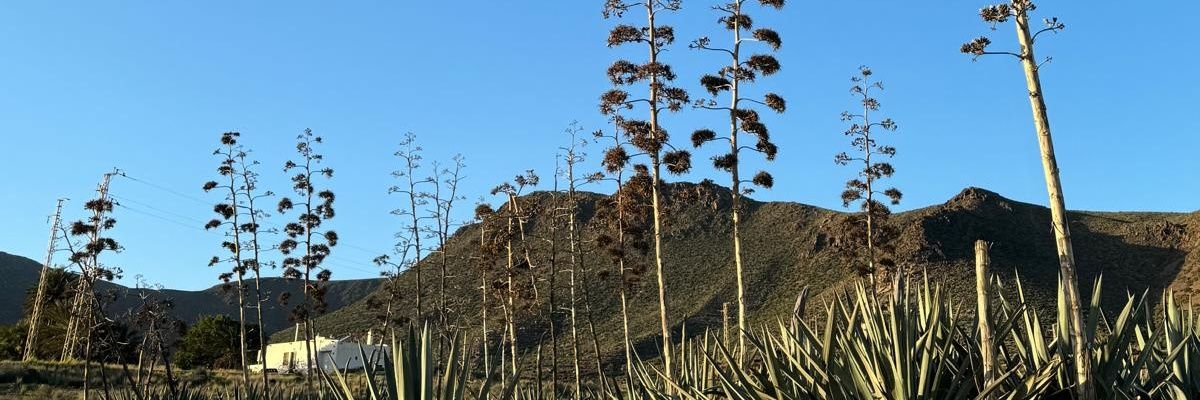 belencprieto's profile banner image