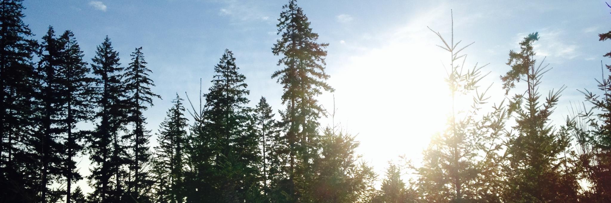 KeyPenParks's profile banner image